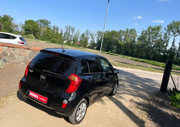 Kia Picanto cena 19999 przebieg: 171000, rok produkcji 2014 z Maków Podhalański małe 352